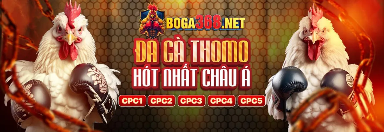 Sân vận động với trận bóng đá sôi động, thể hiện cá cược thể thao tại BenVip